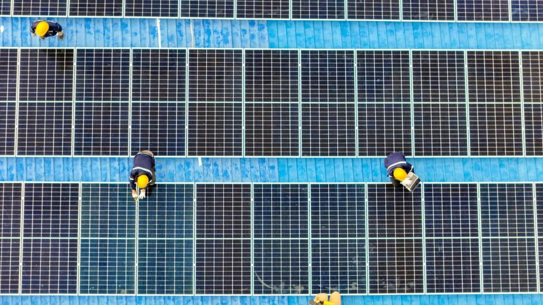 solar panels seen from above